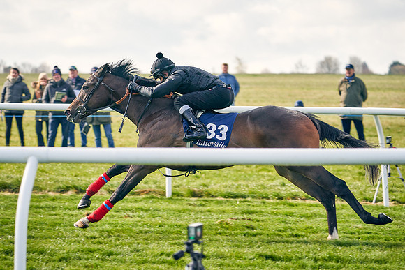 2021-04-12-Dominic-James-Craven-Breeze-Up-Sales-0227