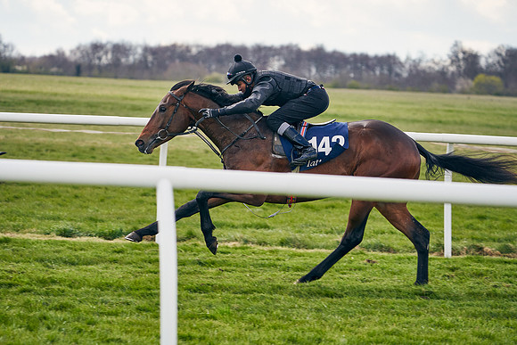 2021-04-12-Dominic-James-Craven-Breeze-Up-Sales-0932