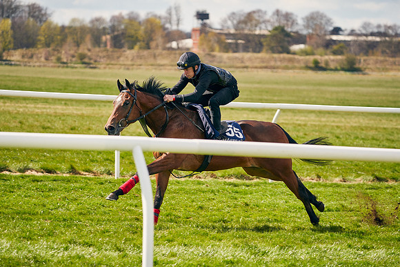 2021-04-12-Dominic-James-Craven-Breeze-Up-Sales-0956