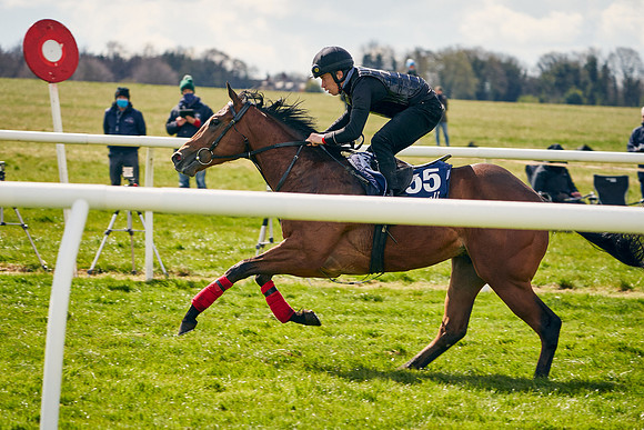 2021-04-12-Dominic-James-Craven-Breeze-Up-Sales-0965