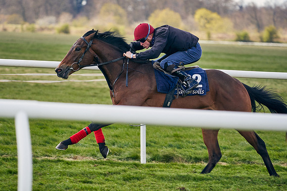 2021-04-12-Dominic-James-Craven-Breeze-Up-Sales-1048