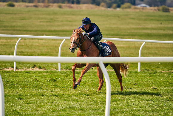 2021-04-12-Dominic-James-Craven-Breeze-Up-Sales-0947