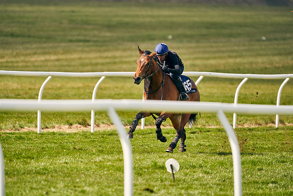 2021-04-12-Dominic-James-Craven-Breeze-Up-Sales-0914