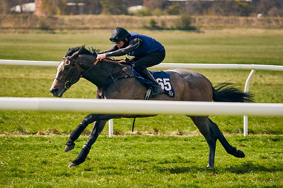 2021-04-12-Dominic-James-Craven-Breeze-Up-Sales-0971