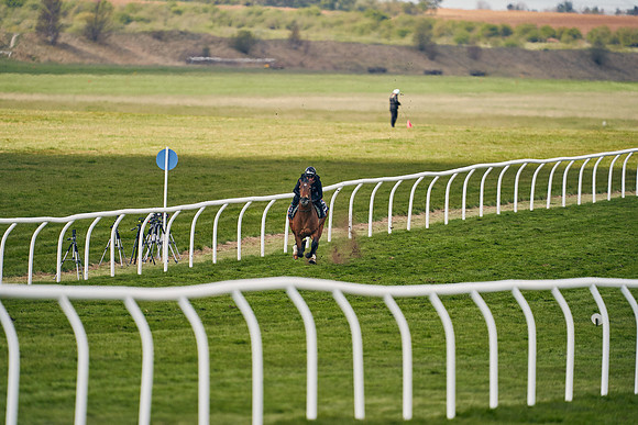 2021-04-12-Dominic-James-Craven-Breeze-Up-Sales-0938