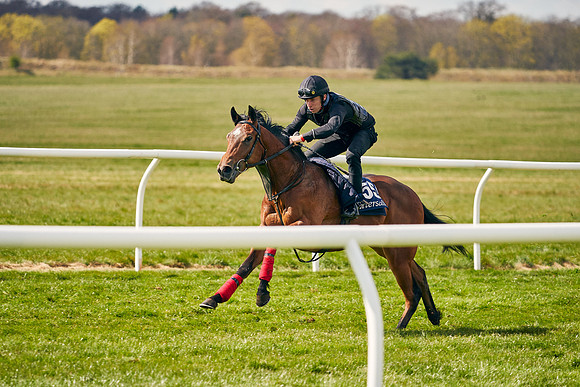 2021-04-12-Dominic-James-Craven-Breeze-Up-Sales-0955