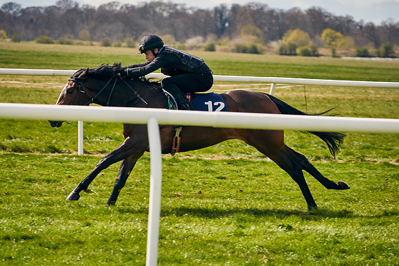 2021-04-12-Dominic-James-Craven-Breeze-Up-Sales-0871