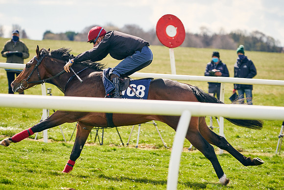 2021-04-12-Dominic-James-Craven-Breeze-Up-Sales-0988