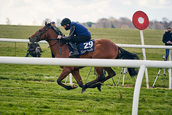 2021-04-12-Dominic-James-Craven-Breeze-Up-Sales-0900