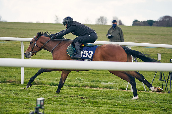 2021-04-12-Dominic-James-Craven-Breeze-Up-Sales-0945