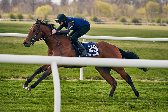 2021-04-12-Dominic-James-Craven-Breeze-Up-Sales-0893
