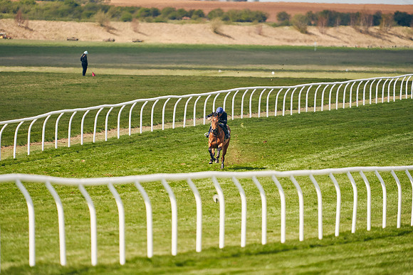 2021-04-12-Dominic-James-Craven-Breeze-Up-Sales-0913