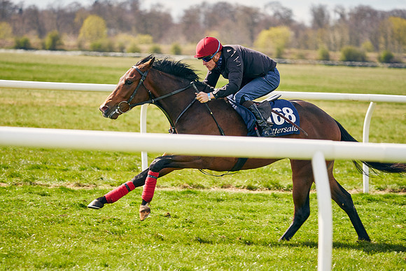2021-04-12-Dominic-James-Craven-Breeze-Up-Sales-0980