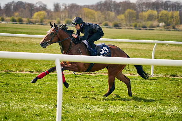 2021-04-12-Dominic-James-Craven-Breeze-Up-Sales-0958