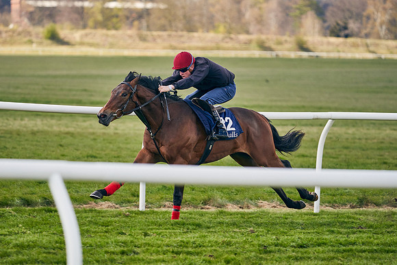 2021-04-12-Dominic-James-Craven-Breeze-Up-Sales-1045