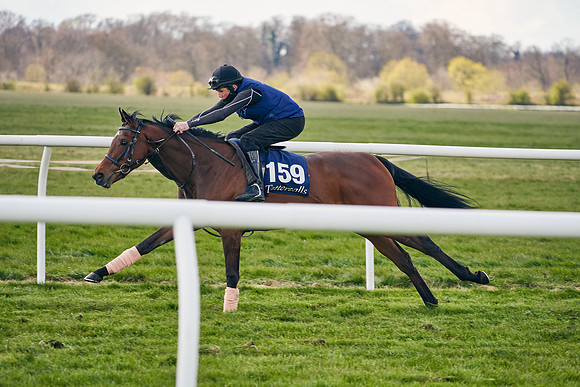 2021-04-12-Dominic-James-Craven-Breeze-Up-Sales-1064