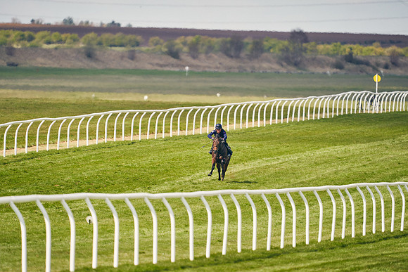 2021-04-12-Dominic-James-Craven-Breeze-Up-Sales-0876