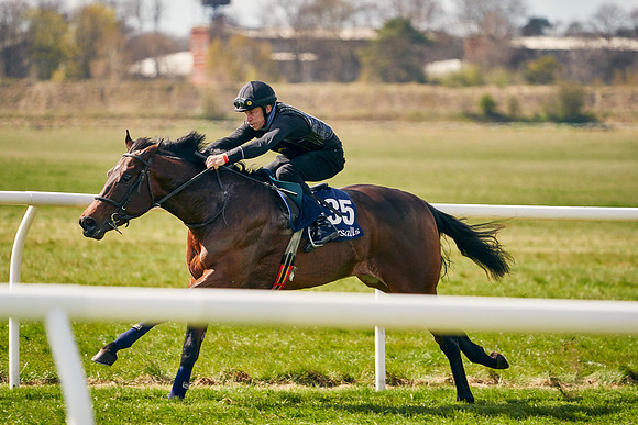 2021-04-12-Dominic-James-Craven-Breeze-Up-Sales-1022