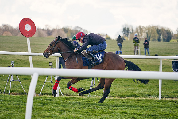 2021-04-12-Dominic-James-Craven-Breeze-Up-Sales-1053