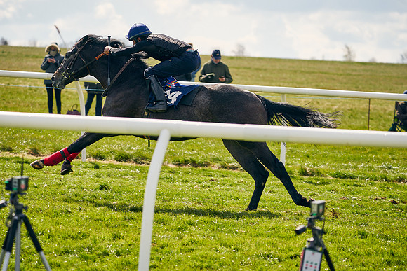 2021-04-12-Dominic-James-Craven-Breeze-Up-Sales-0999