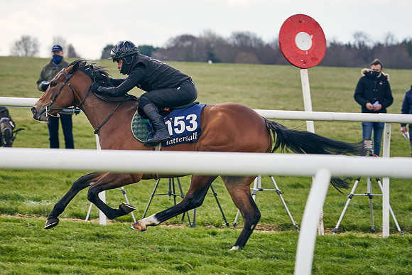 2021-04-12-Dominic-James-Craven-Breeze-Up-Sales-0943