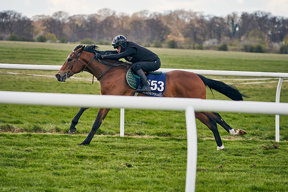 2021-04-12-Dominic-James-Craven-Breeze-Up-Sales-0939