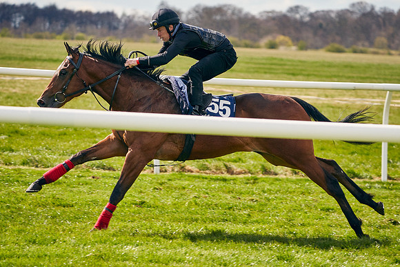 2021-04-12-Dominic-James-Craven-Breeze-Up-Sales-0964
