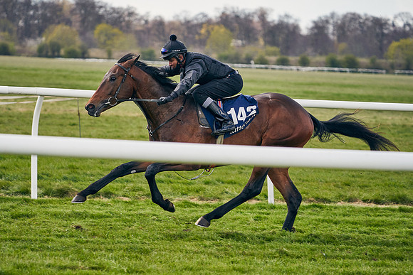 2021-04-12-Dominic-James-Craven-Breeze-Up-Sales-0929