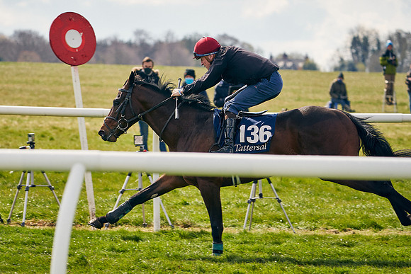 2021-04-12-Dominic-James-Craven-Breeze-Up-Sales-0891
