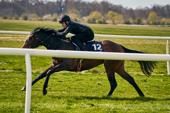 2021-04-12-Dominic-James-Craven-Breeze-Up-Sales-0870