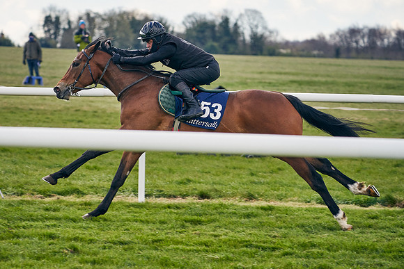 2021-04-12-Dominic-James-Craven-Breeze-Up-Sales-0941