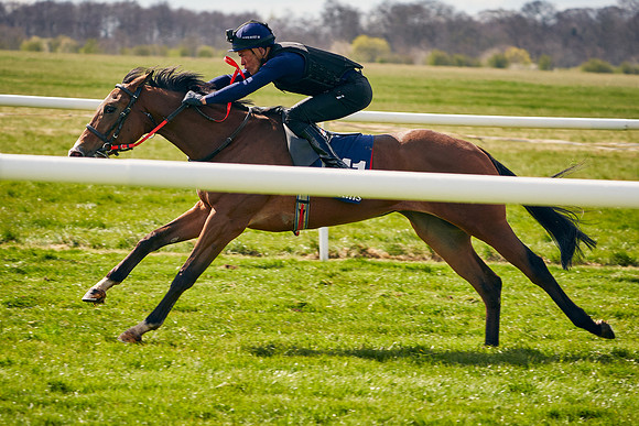 2021-04-12-Dominic-James-Craven-Breeze-Up-Sales-1015