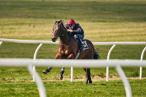 2021-04-12-Dominic-James-Craven-Breeze-Up-Sales-0887