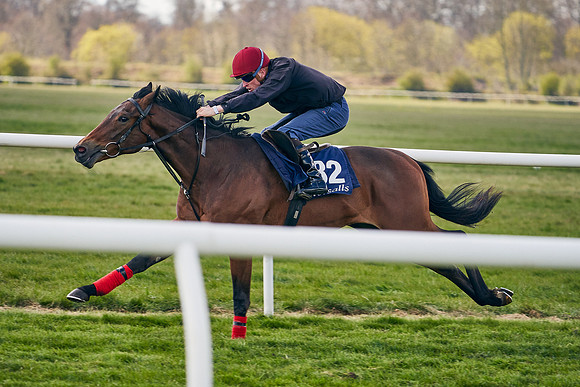 2021-04-12-Dominic-James-Craven-Breeze-Up-Sales-1046