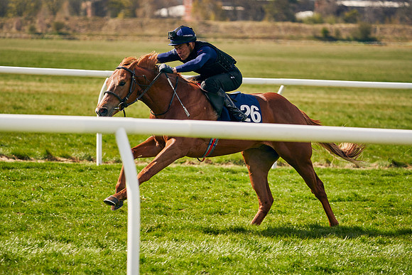 2021-04-12-Dominic-James-Craven-Breeze-Up-Sales-0950
