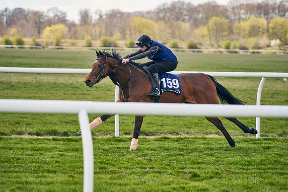 2021-04-12-Dominic-James-Craven-Breeze-Up-Sales-1061