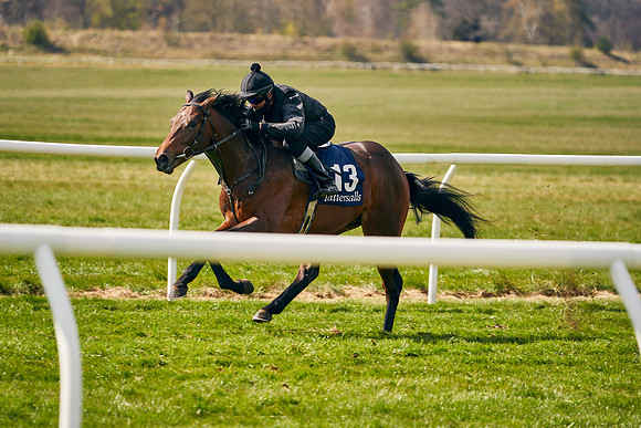 2021-04-12-Dominic-James-Craven-Breeze-Up-Sales-1002