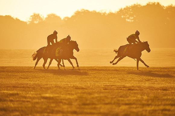 5th-September-Dominic-James-00259
