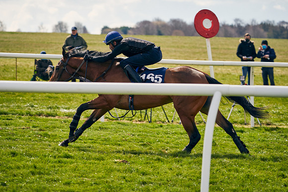 2021-04-12-Dominic-James-Craven-Breeze-Up-Sales-0924
