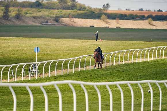 2021-04-12-Dominic-James-Craven-Breeze-Up-Sales-0903