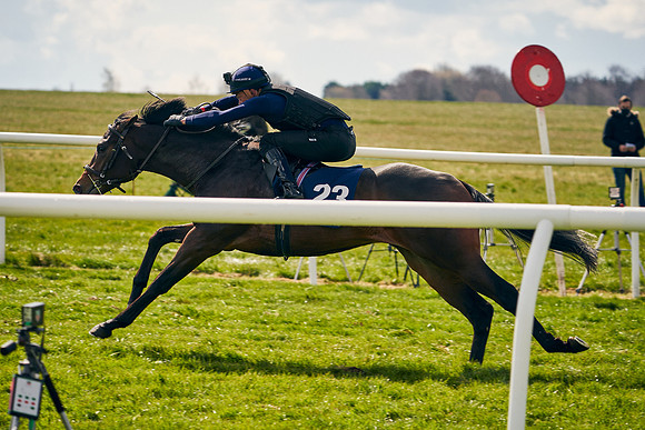 2021-04-12-Dominic-James-Craven-Breeze-Up-Sales-0885