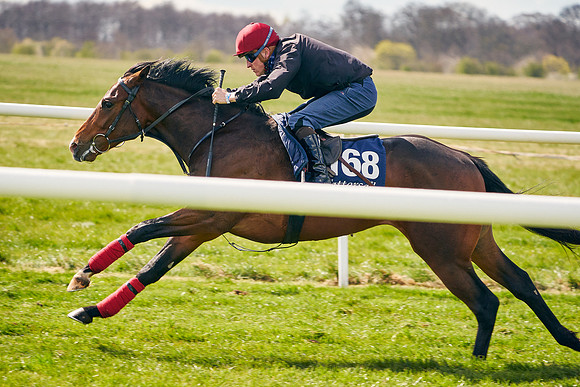 2021-04-12-Dominic-James-Craven-Breeze-Up-Sales-0985