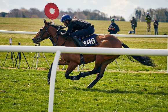 2021-04-12-Dominic-James-Craven-Breeze-Up-Sales-0922