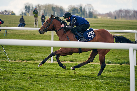 2021-04-12-Dominic-James-Craven-Breeze-Up-Sales-0896