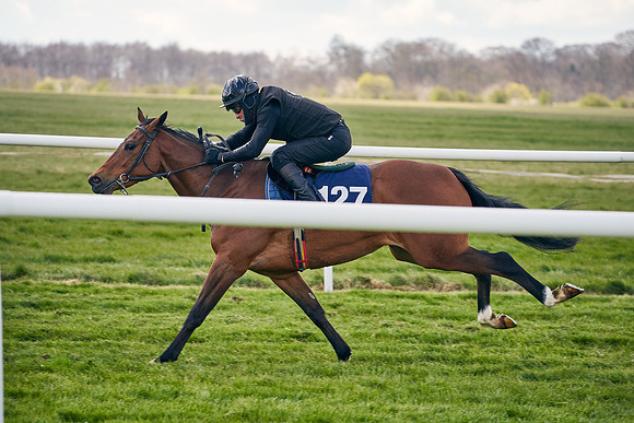 2021-04-12-Dominic-James-Craven-Breeze-Up-Sales-1038