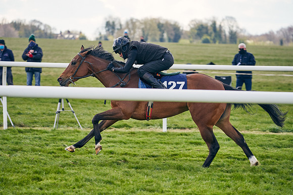 2021-04-12-Dominic-James-Craven-Breeze-Up-Sales-1039
