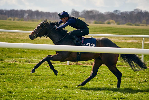 2021-04-12-Dominic-James-Craven-Breeze-Up-Sales-0879