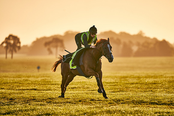 5th-September-Dominic-James-00545