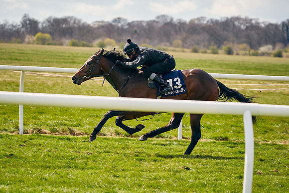 2021-04-12-Dominic-James-Craven-Breeze-Up-Sales-1004