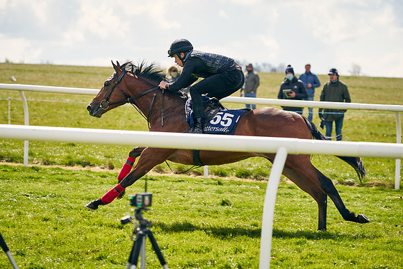 2021-04-12-Dominic-James-Craven-Breeze-Up-Sales-0969